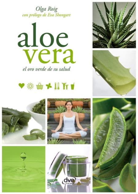 Aloe vera by Olga Roig