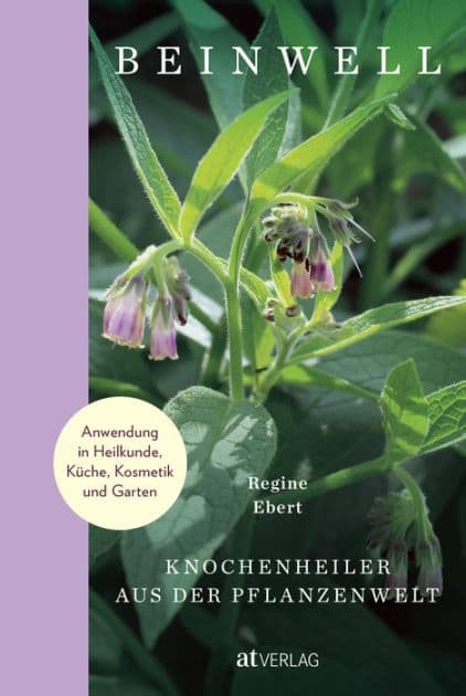 Beinwell: Knochenheiler aus der Pflanzenwelt. Anwendung in Heilkunde, Küche, Kosmetik und Garten by Regine Ebert