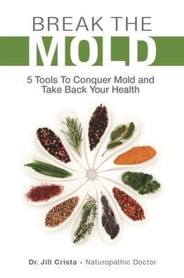 Break the Mold by Jill Crista