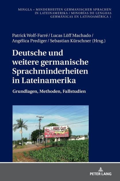 Deutsche und weitere germanische Sprachminderheiten in Lateinamerika: Grundlagen, Methoden, Fallstudien by Patrick Wolf-Farré