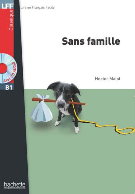 Sans Famille by Hector Malot