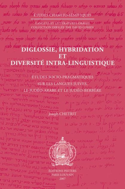 Diglossie, hybridation et diversite intra-linguistique: Etudes socio-pragmatiques sur les langues juives, le judeo-arabe et le judeo-berbere by J Chetrit