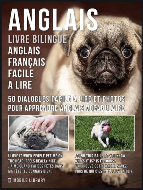 Anglais - Livre Bilingue Anglais Français Facile A Lire: 50 dialogues facile a lire et photos pour apprendre anglais vocabulaire by Mobile Library
