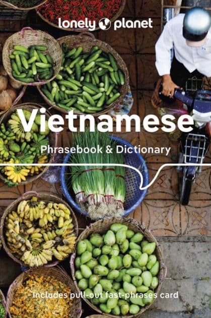 Lonely Planet Vietnamese Phrasebook & Dictionary by Lonely Planet