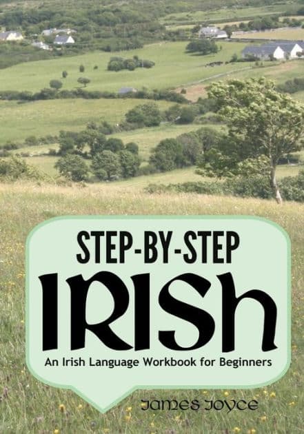 Step-by-Step Irish: An Irish Language Workbook for Beginners by James Joyce