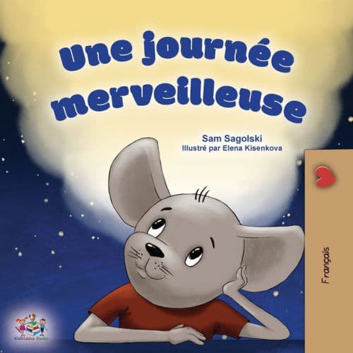 A Wonderful Day (French Children's Book) by Sam Sagolski, Kidkiddos Books