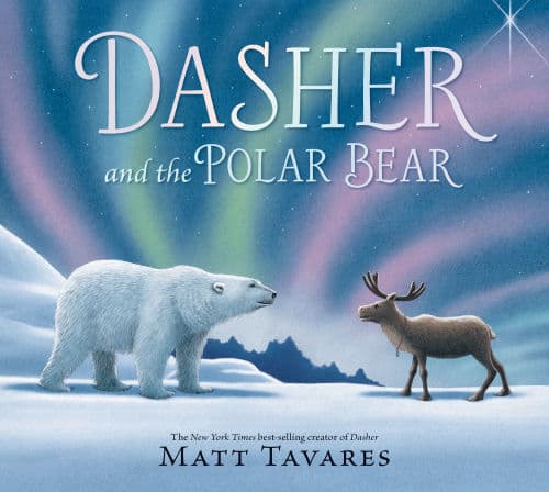 Dasher and the Polar Bear by Matt Tavares, Matt Tavares (Illustrator)
