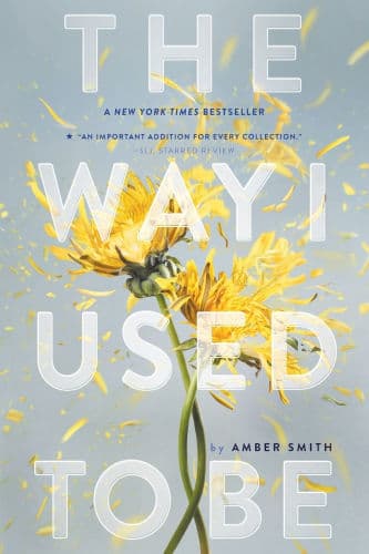 The Way I Used to Be by Amber Smith, Rebekkah Ross