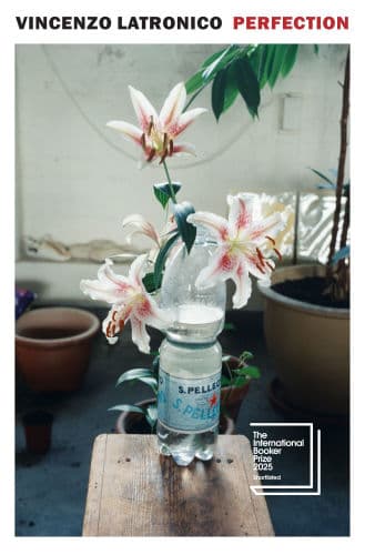 Perfection by Vincenzo Latronico, Sophie Hughes (Translator), Sophie Hughes