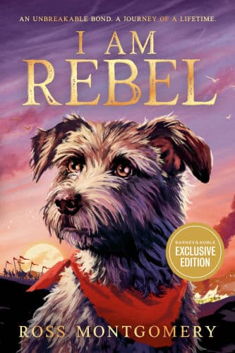 I Am Rebel by Ross Montgomery