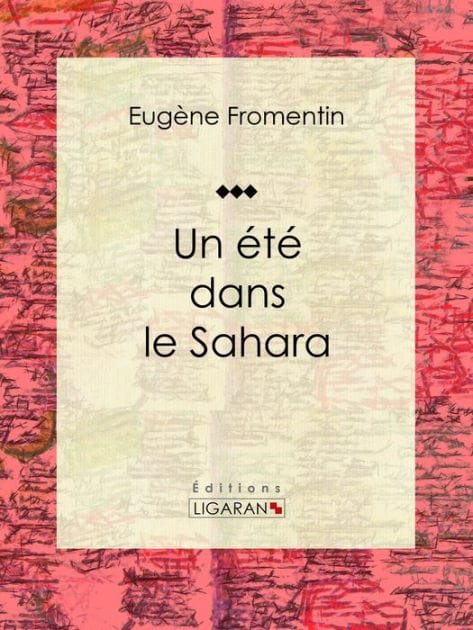 Un été dans le Sahara: Récit et carnet de voyages