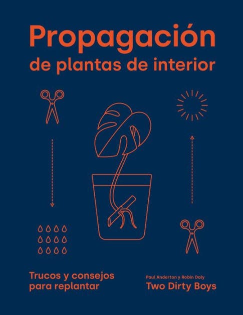 Propagaciï¿½n de plantas de interior: Trucos y consejos para replantar