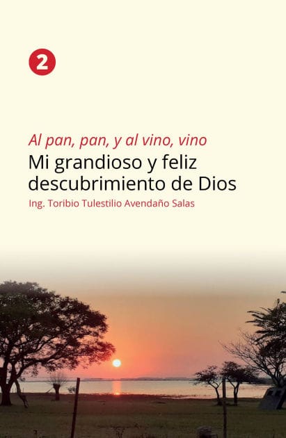 Al pan, pan y al vino, vino 2: Mi grandioso y feliz descubrimiento de Dios