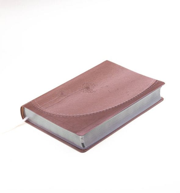 Santa Biblia de Promesas Reina-Valera 1960 «Inspira» / Letra gigante - 13 puntos / Piel Especial / Rosa dorado // Spanish Promise Bible RVR60 "Inspire" / Giant Print - 13 points / Leathersoft / Rosegold