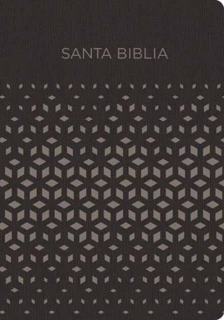RVR 1960 Biblia para regalos y premios, negro/plata símil piel