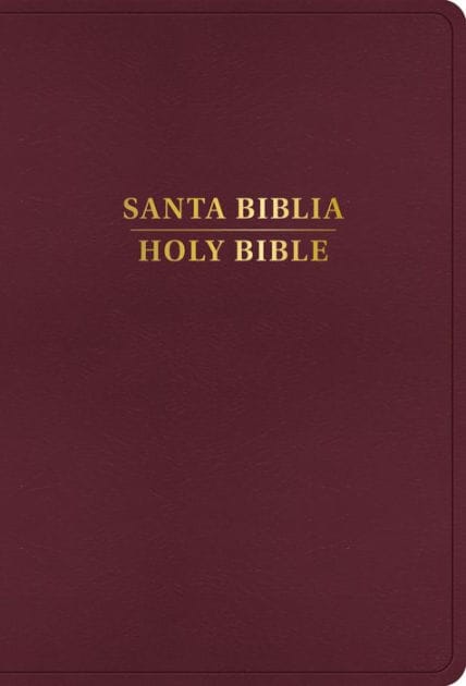 RVR 1960/KJV Biblia bilingüe letra grande, borgoña imitación piel con índice (Edición 2024)