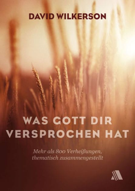 Was Gott dir versprochen hat: Mehr als 800 Verheißungen, thematisch zusammengestellt