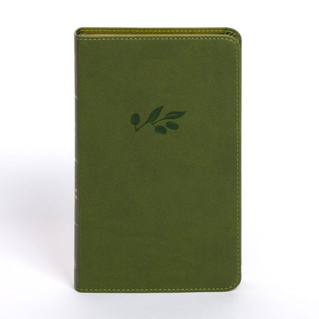 NASB Personal Size Bible, Olive LeatherTouch