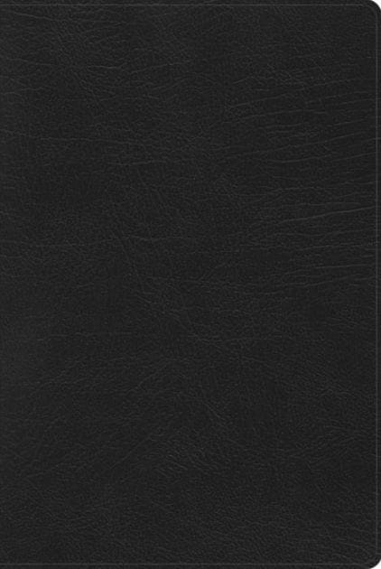 RVR 1960 Biblia de Estudio Arcoíris, negro símil piel con índice