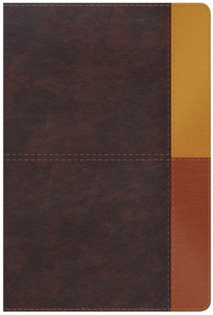 RVR 1960 Biblia de Estudio Arcoíris, cocoa/ terracota símil piel