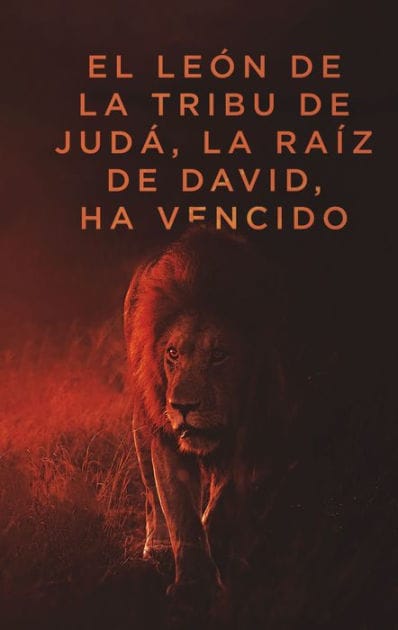 RVR60, Santa Biblia, Letra grande, Tapa dura, El León, Comfort Print