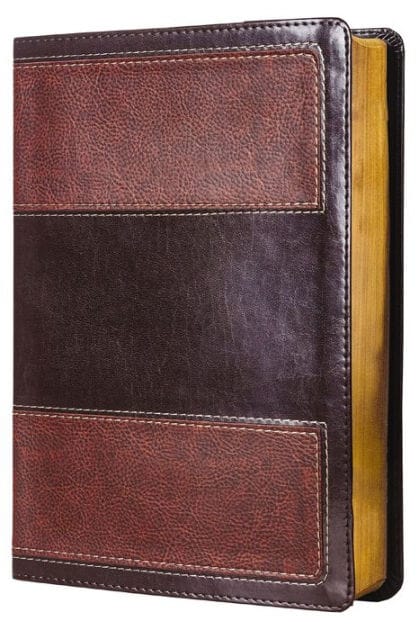 RVR60, Biblia de Estudio de la vida plena, Leathersoft Italian Duo-tone, Café
