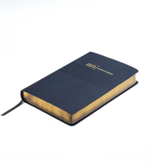 Santa Biblia de Promesas Reina-Valera 1960 / Letra Gigante - 13 puntos / Piel Especial / Negra // Spanish Promise Bible RVR60 / Giant Print / Leathersoft / Black