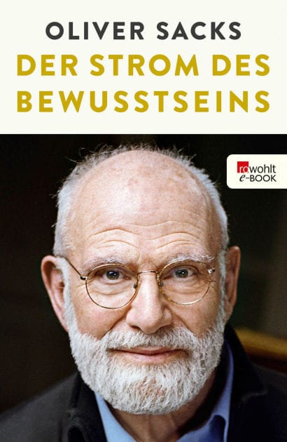Der Strom des Bewusstseins: Über Kreativität und Gehirn