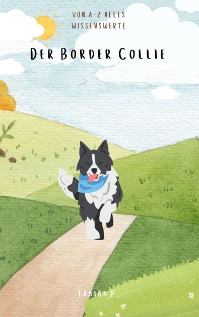 Der Border Collie: Von A - Z alles wissenswerte