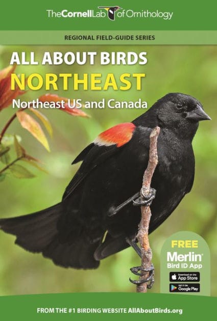 All About Birds Northeast: Northeast US and Canada