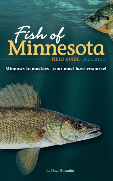Fish of Minnesota Field Guide