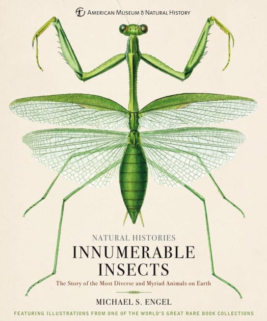 Innumerable Insects: The Story of the Most Diverse and Myriad Animals on Earth