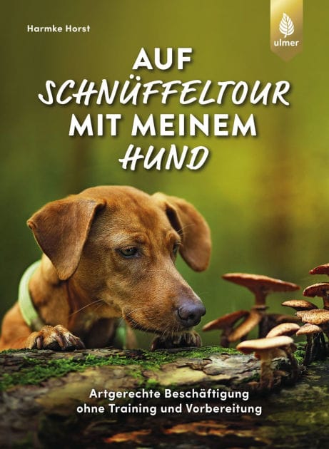 Auf Schnüffeltour mit meinem Hund: Artgerechte Beschäftigung ohne Training und Vorbereitung. Faszination Hundenase: was sie (riechen) kann und wie das den Hund auslastet
