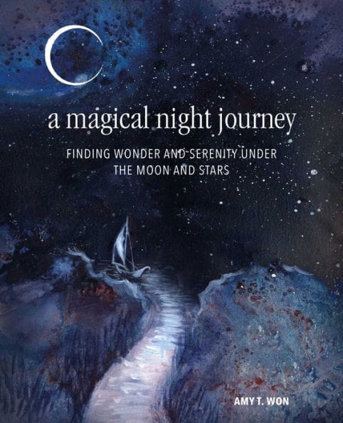 A Magical Night Journey: Finding wonder and serenity under the moon and stars