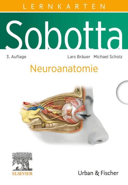 Sobotta Lernkarten Neuroanatomie: Neuroanatomie