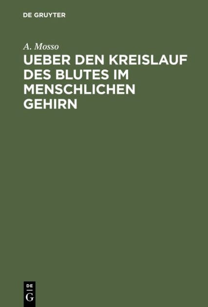 Ueber den Kreislauf des Blutes im menschlichen Gehirn: Untersuchungen