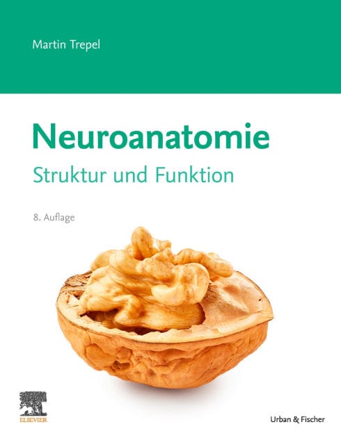 Neuroanatomie: Struktur und Funktion
