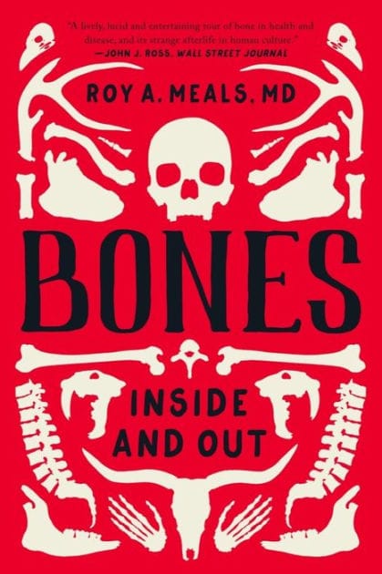 Bones: Inside and Out