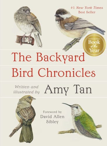 The Backyard Bird Chronicles