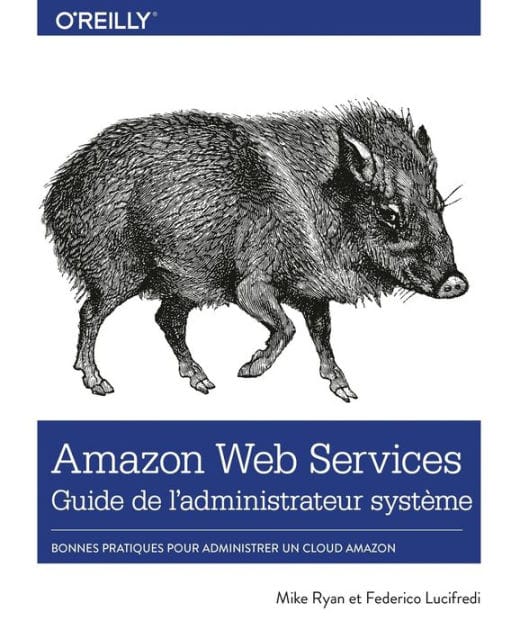 Amazon Web Services Guide de l'administrateur système