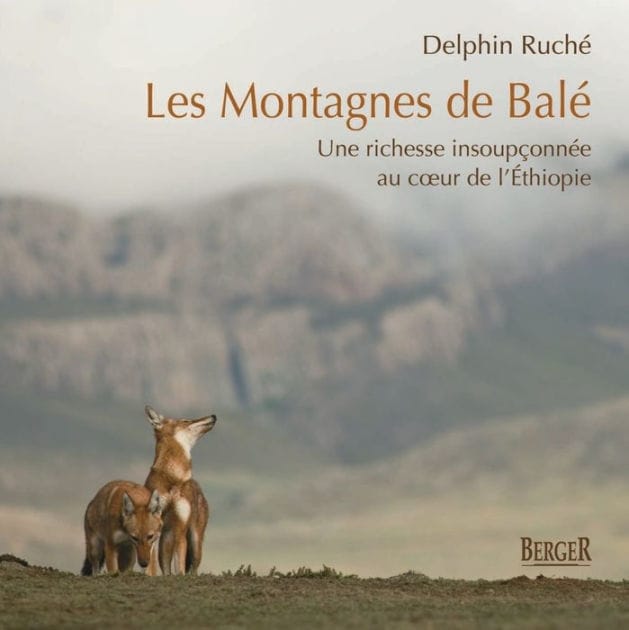 Les Montagnes de Balé: Une richesse insoupçonnée au coeur de l'Éthiopie