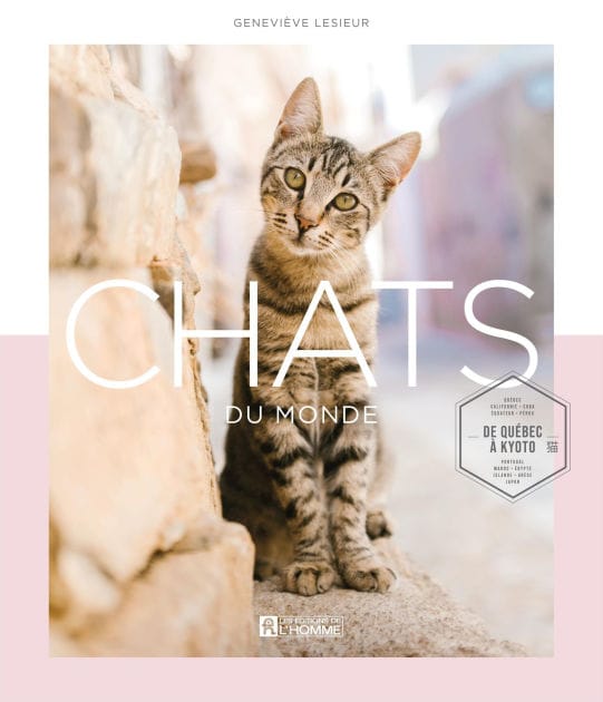 Chats du monde: De Québec à Kyoto