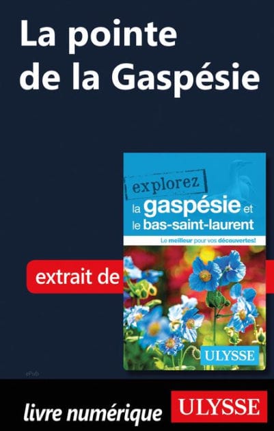 La pointe de la Gaspésie