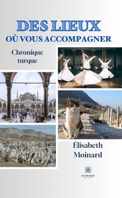 Des lieux où vous accompagner: Chronique turque
