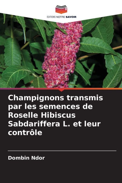 Champignons transmis par les semences de Roselle Hibiscus Sabdariffera L. et leur contr�le