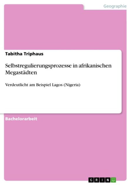 Selbstregulierungsprozesse in afrikanischen Megastädten: Verdeutlicht am Beispiel Lagos (Nigeria)