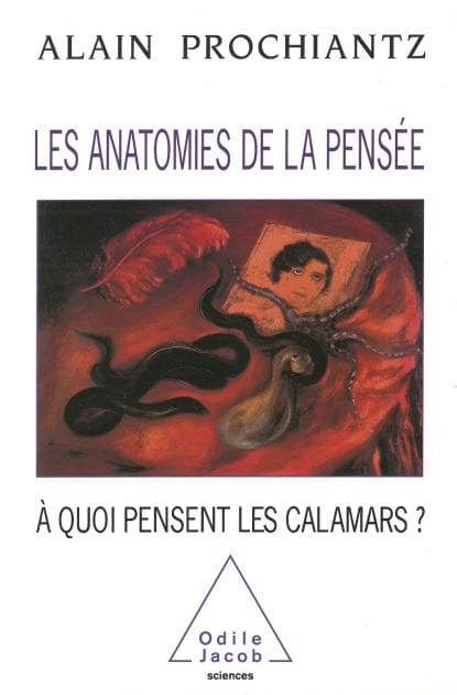 Les Anatomies de la pensée: À quoi pensent les calamars ?
