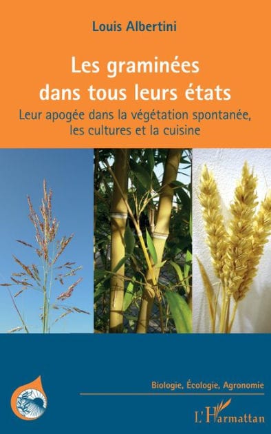 Les graminées dans tous leurs états: Leur apogée dans la végétation spontanée, les cultures et la cuisine