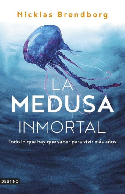 La medusa inmortal: Todo lo que hay que saber para vivir más años