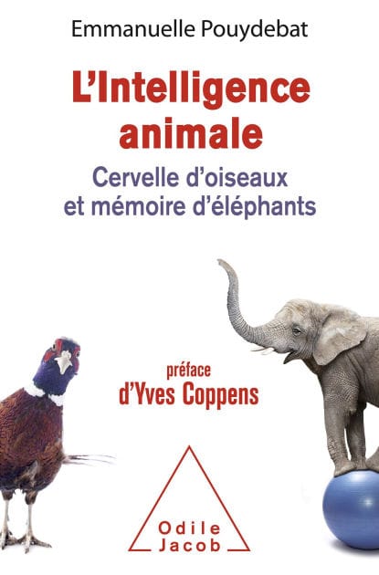 L' Intelligence animale: Cervelle d'oiseaux et mémoire d'éléphants